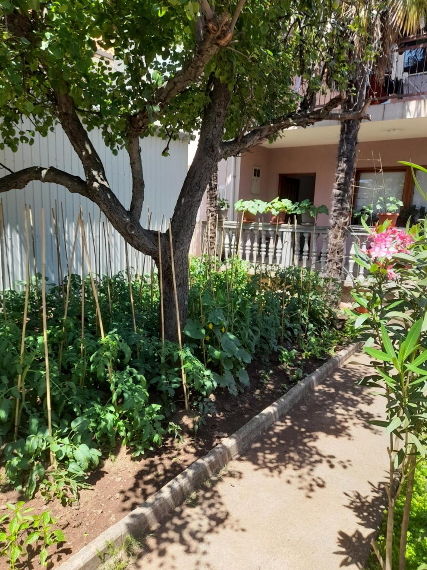 Apartman Avdic Mostar Exterior photo